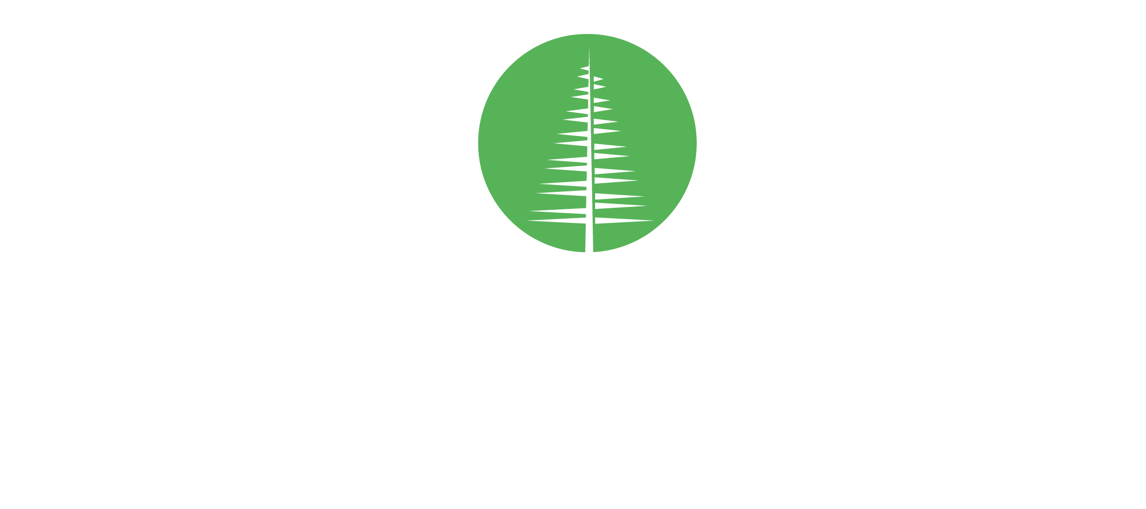 Logo Black Forest Testlab OhG, Prüflabor für EMV-Prüfungen